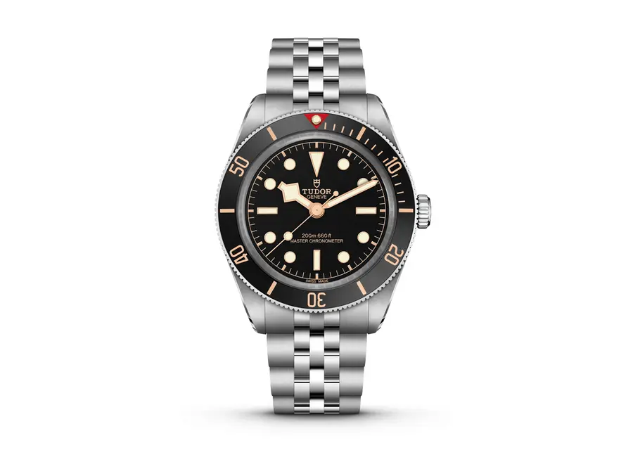 Montre TUDOR BLACK BAY 58
