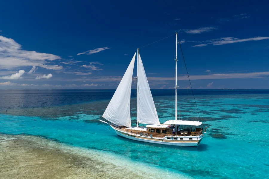 Explorer l’atoll d’Ari Sud lors de sorties en mer.